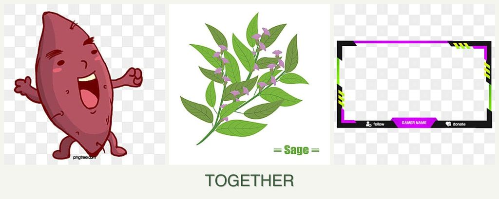 Can you plant sweet potatoes, sage and limes together?