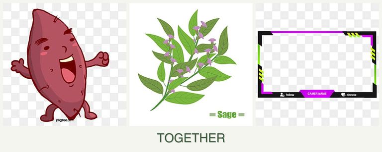 Can you plant sweet potatoes, sage and limes together?
