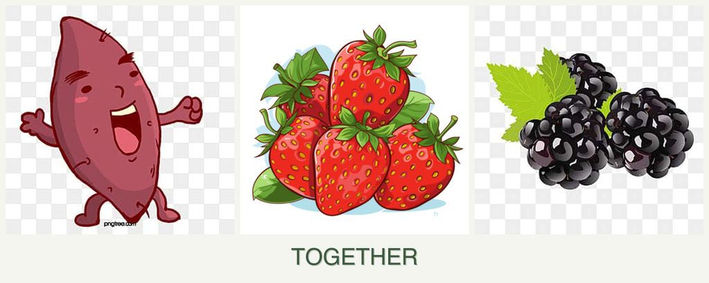 Can you plant sweet potatoes, strawberries and blackberries together?
