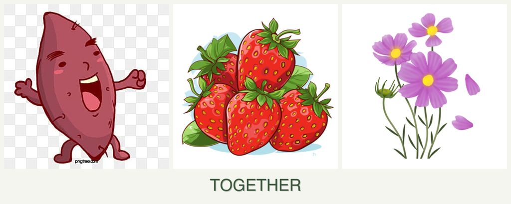 Can you plant sweet potatoes, strawberries and cosmos together?