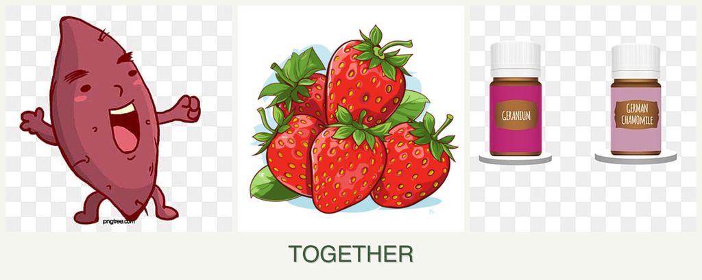 Can you plant sweet potatoes, strawberries and geraniums together?
