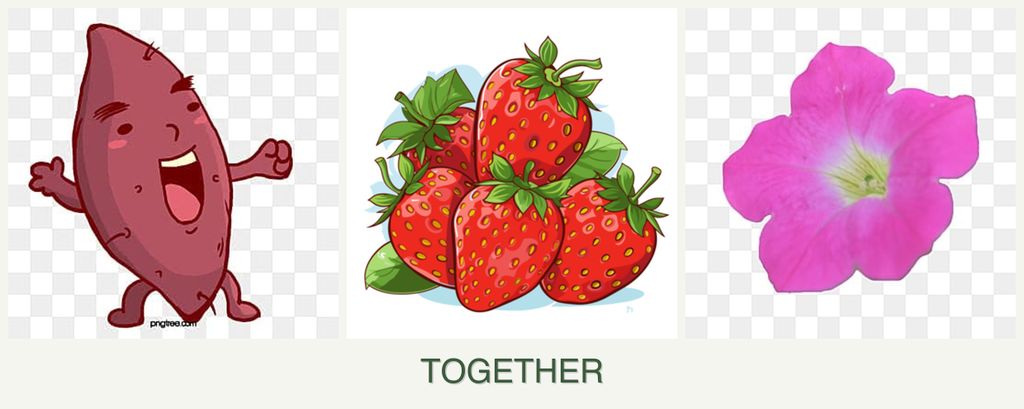 Can you plant sweet potatoes, strawberries and petunias together?
