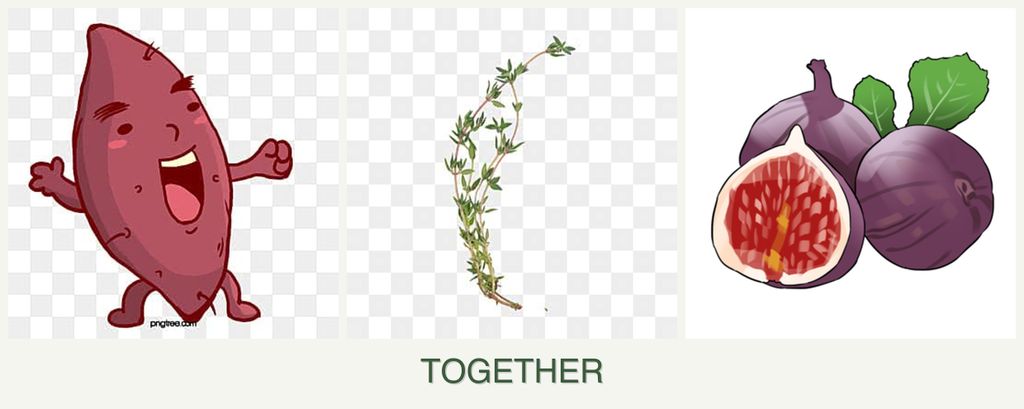 Can you plant sweet potatoes, thyme and figs together?