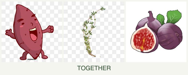 Can you plant sweet potatoes, thyme and figs together?