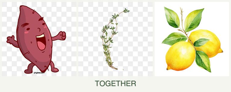 Can you plant sweet potatoes, thyme and lemons together?