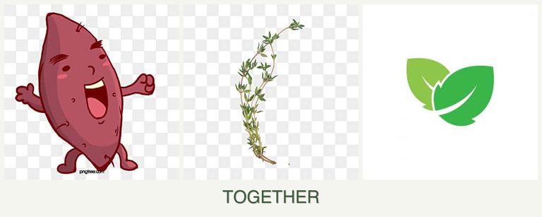 Can you plant sweet potatoes, thyme and mint together?