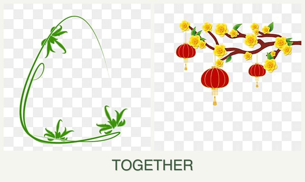 Can you plant tarragon and apricots together?