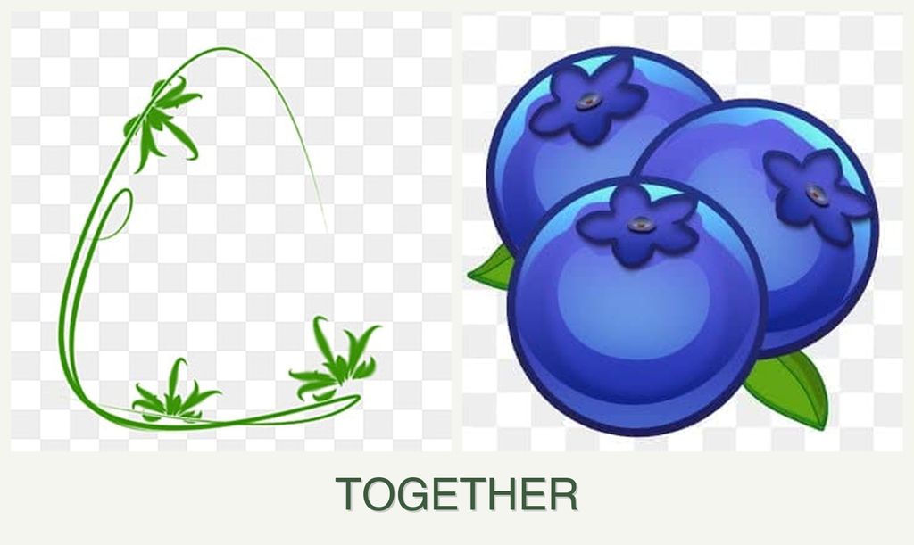 Can you plant tarragon and blueberries together?