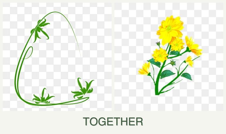 Can you plant tarragon and calendula together?