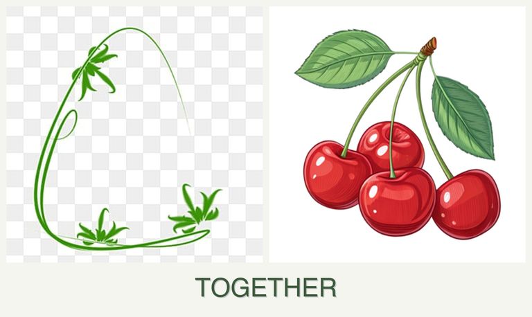 Can you plant tarragon and cherries together?