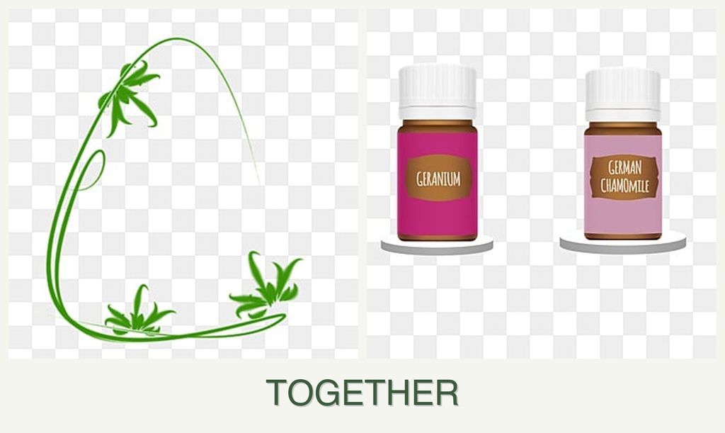 Can you plant tarragon and geraniums together?