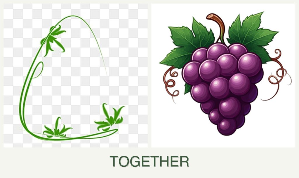 Can you plant tarragon and grapes together?