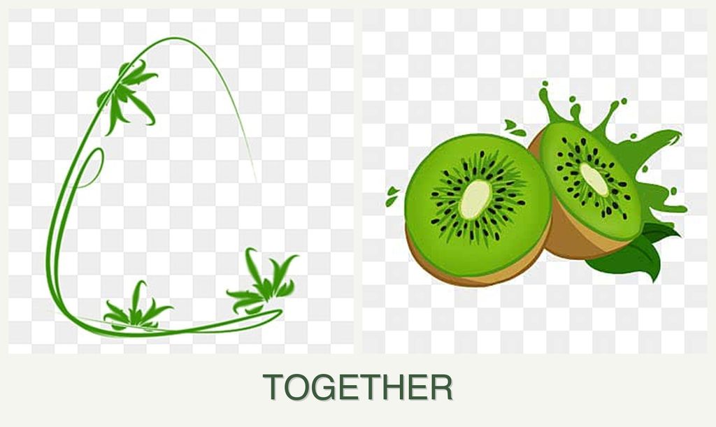 Can you plant tarragon and kiwi together?