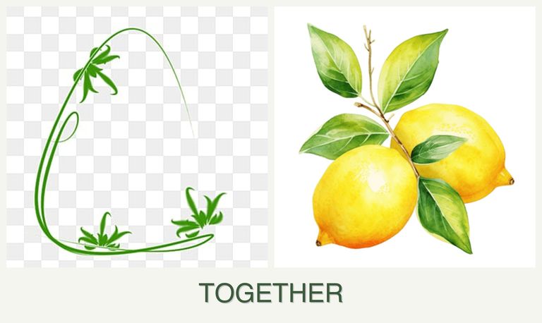 Can you plant tarragon and lemons together?