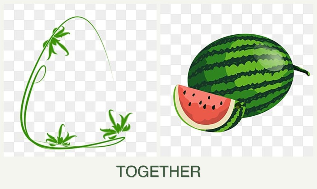 Can you plant tarragon and melons together?