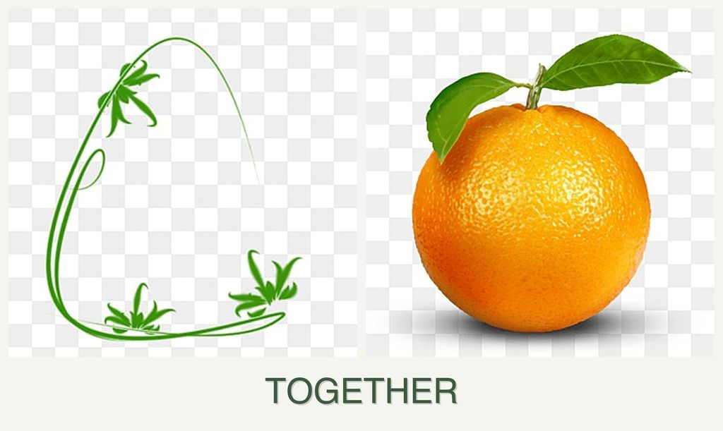Can you plant tarragon and oranges together?