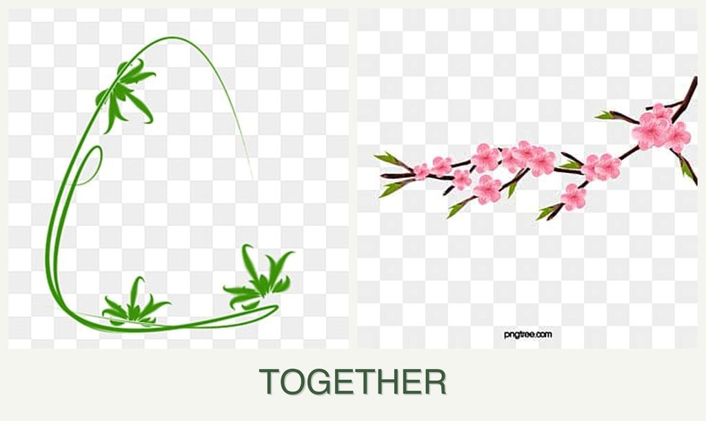 Can you plant tarragon and peaches together?