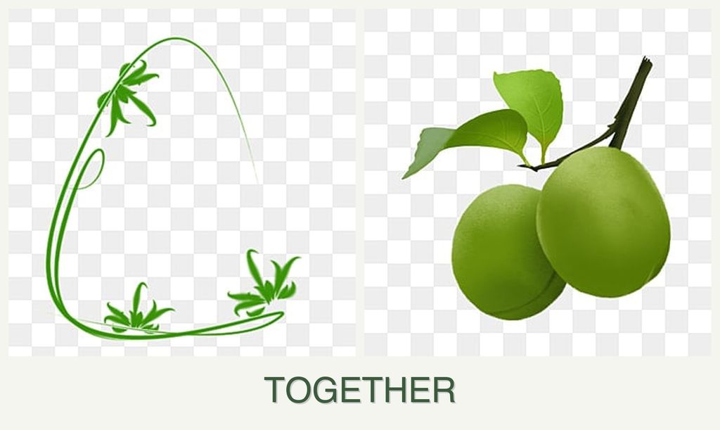 Can you plant tarragon and plums together?