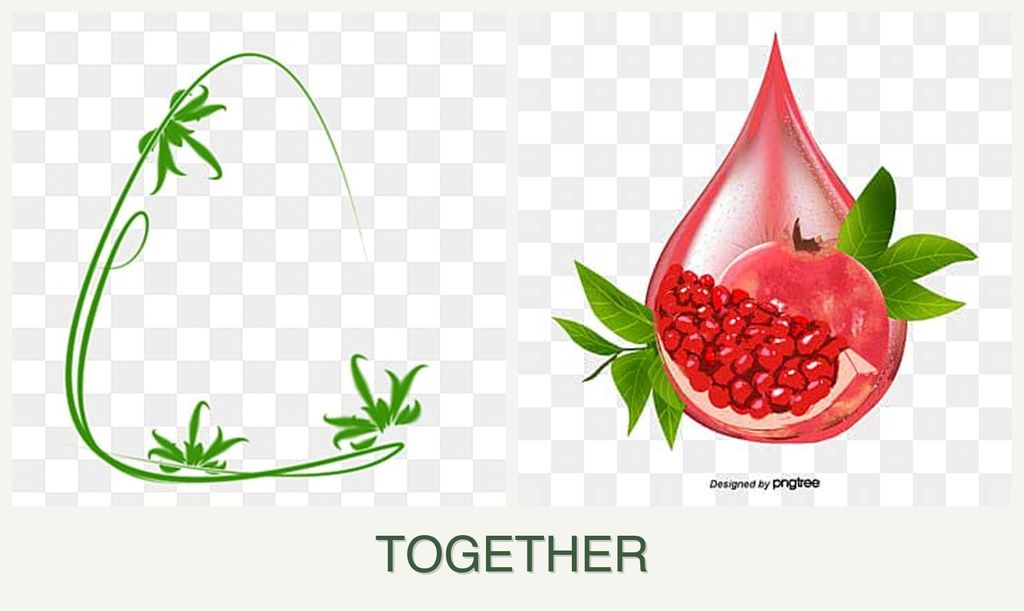 Can you plant tarragon and pomegranates together?