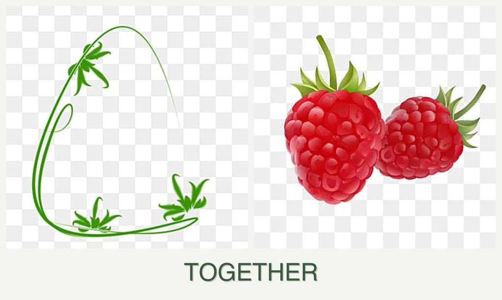 Can you plant tarragon and raspberries together?