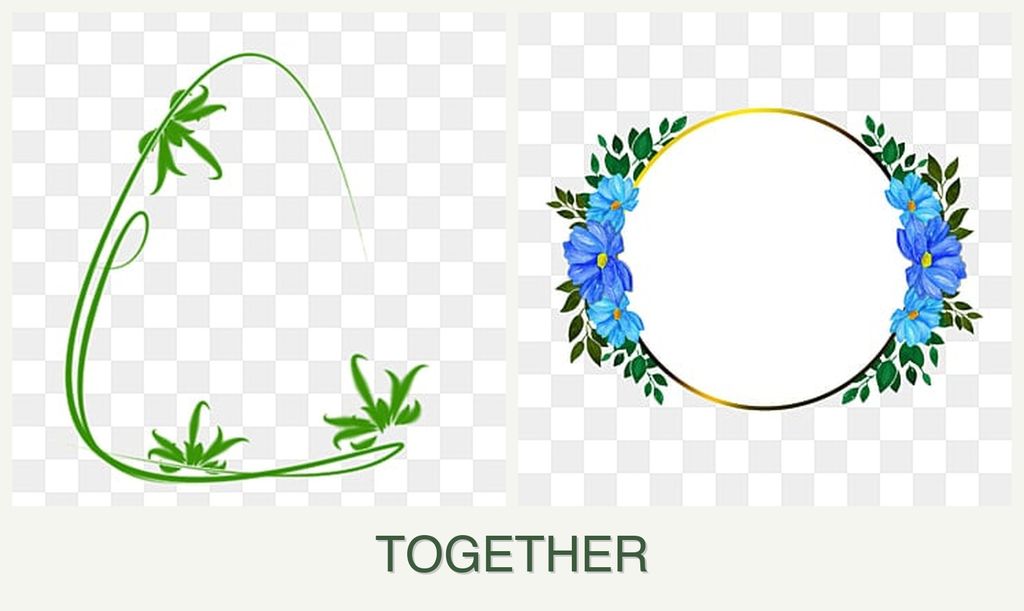 Can you plant tarragon and zinnias together?