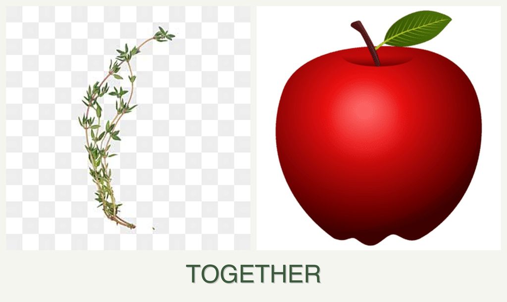 Can you plant thyme and apples together?