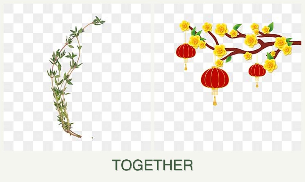 Can you plant thyme and apricots together?