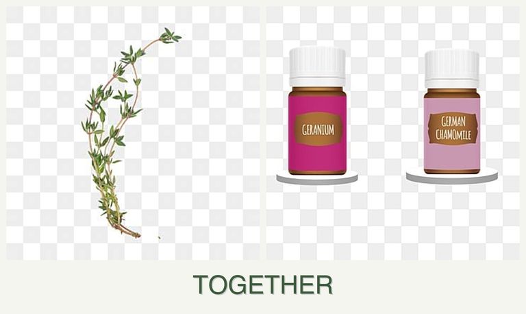 Can you plant thyme and geraniums together?