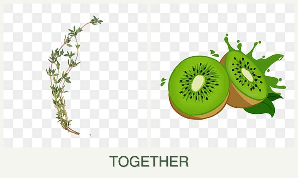 Can you plant thyme and kiwi together?
