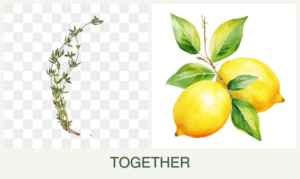 Can you plant thyme and lemons together?
