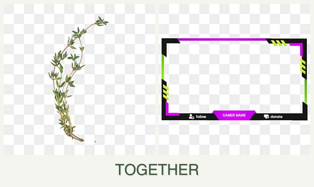 Can you plant thyme and limes together?