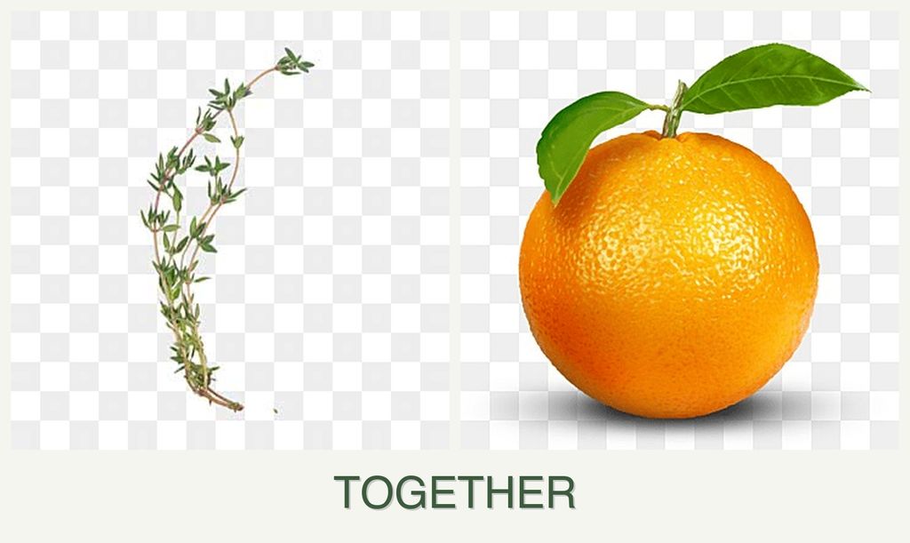 Can you plant thyme and oranges together?