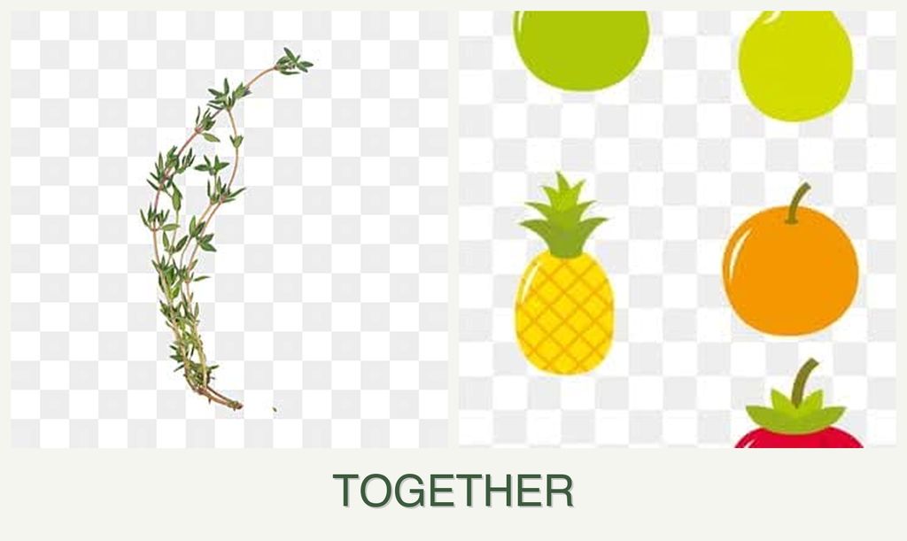 Can you plant thyme and pears together?