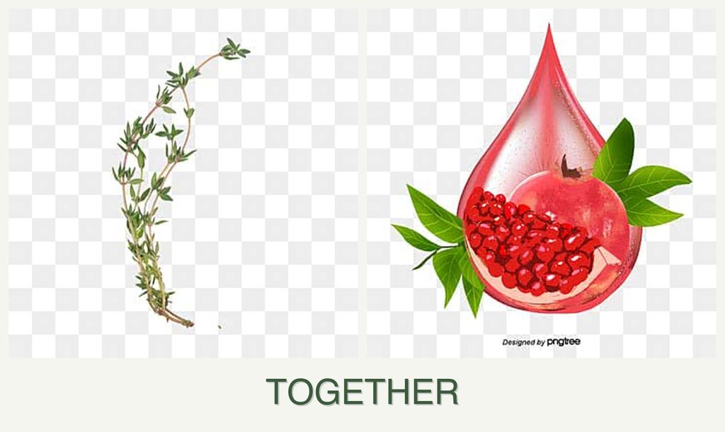 Can you plant thyme and pomegranates together?