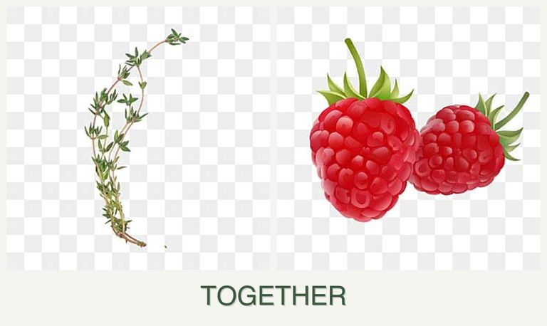 Can you plant thyme and raspberries together?
