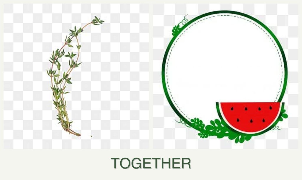 Can you plant thyme and watermelons together?