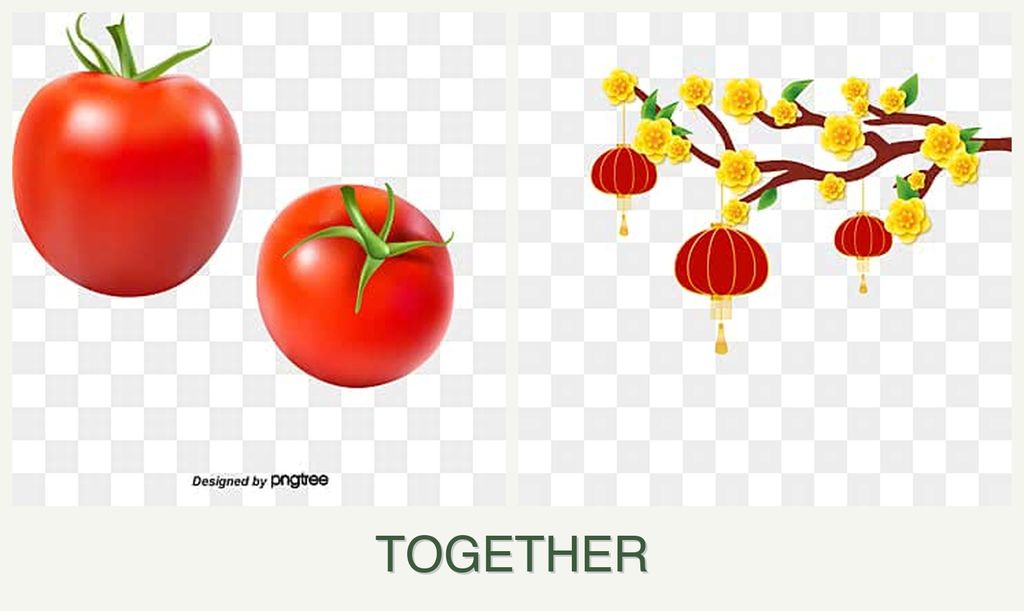 Can you plant tomatoes and apricots together?