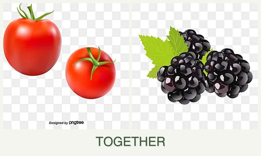 Can you plant tomatoes and blackberries together?