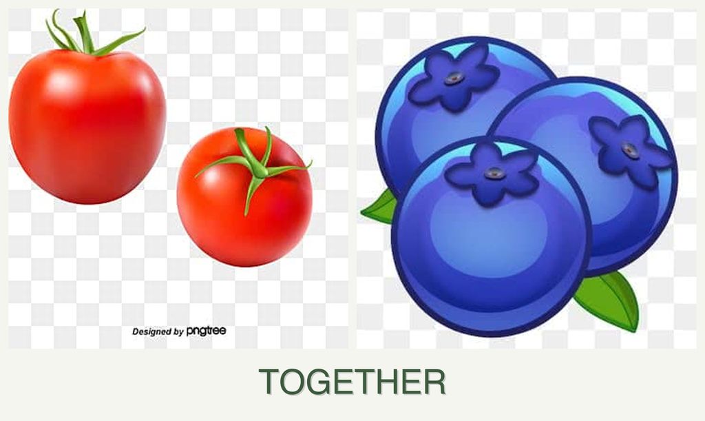 Can you plant tomatoes and blueberries together?