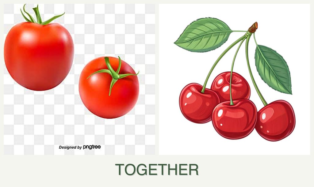 Can you plant tomatoes and cherries together?