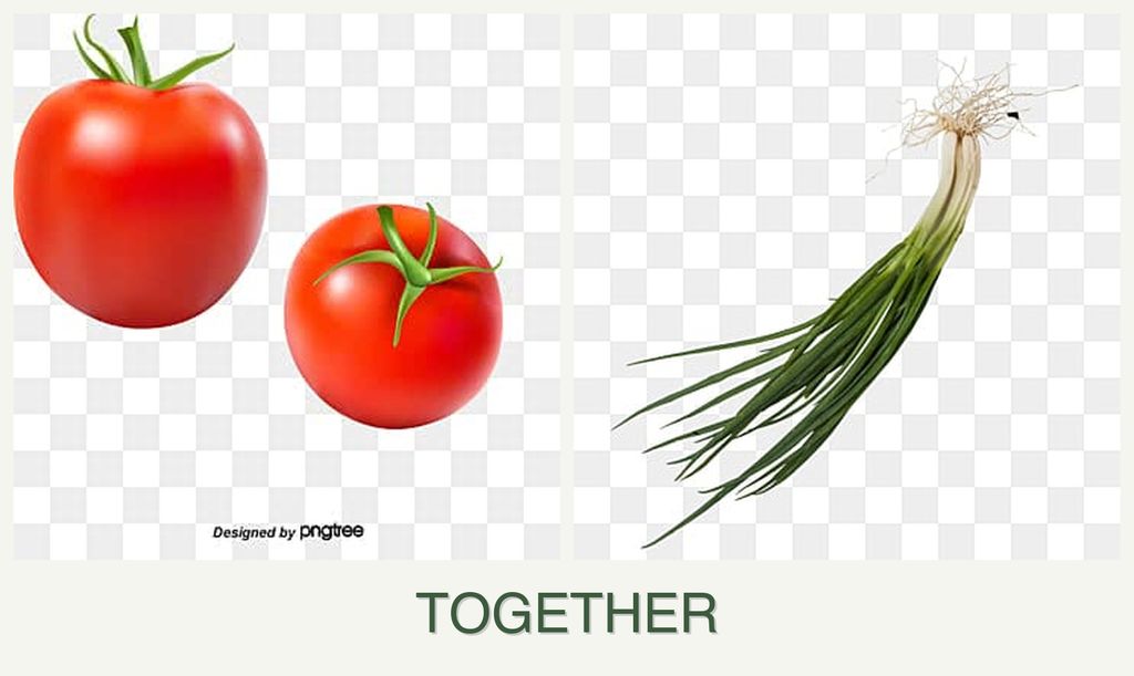 Can you plant tomatoes and chives together?
