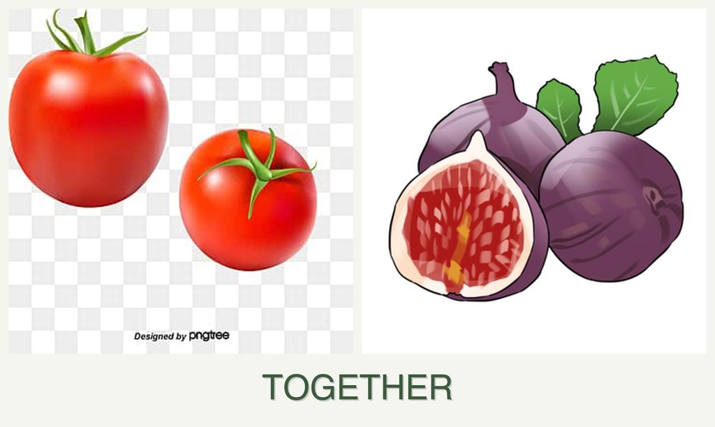 Can you plant tomatoes and figs together?