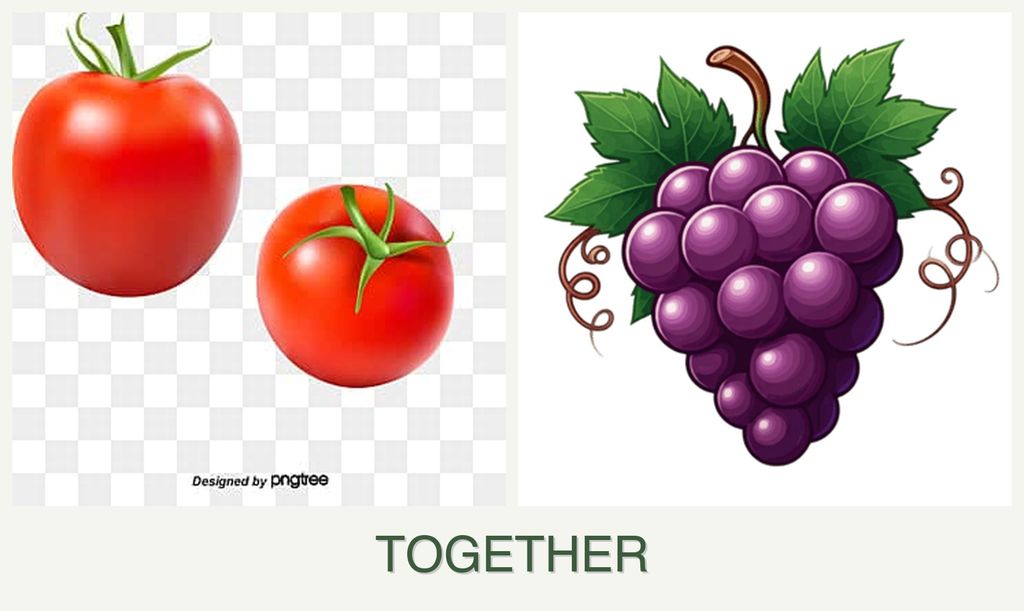 Can you plant tomatoes and grapes together?