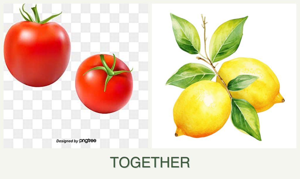 Can you plant tomatoes and lemons together?