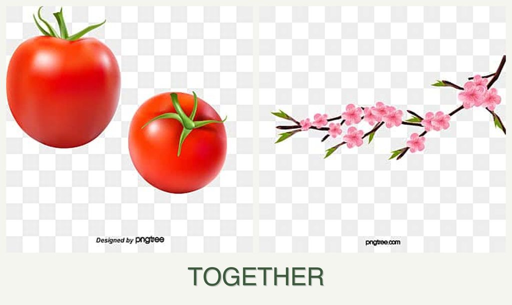 Can you plant tomatoes and peaches together?