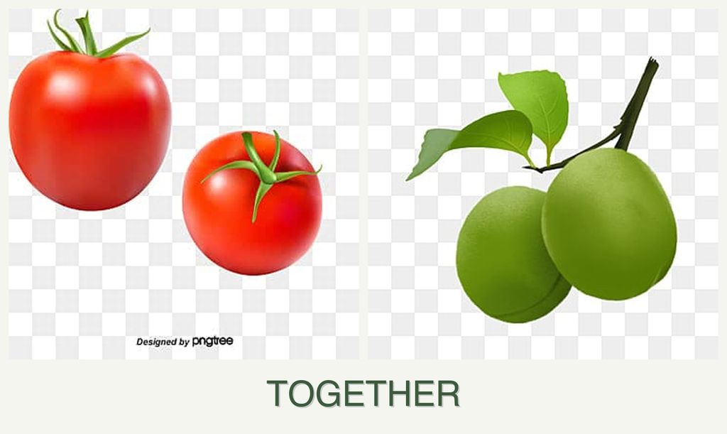 Can you plant tomatoes and plums together?