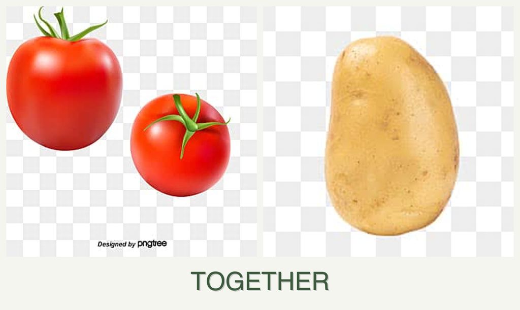 Can you plant tomatoes and potatoes together?