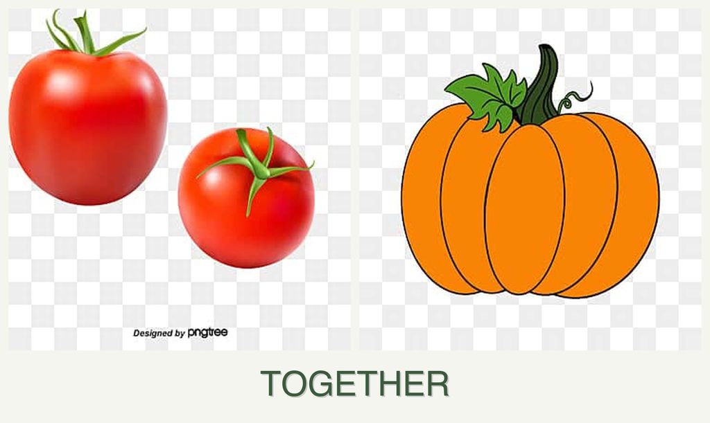 Can you plant tomatoes and pumpkin together?