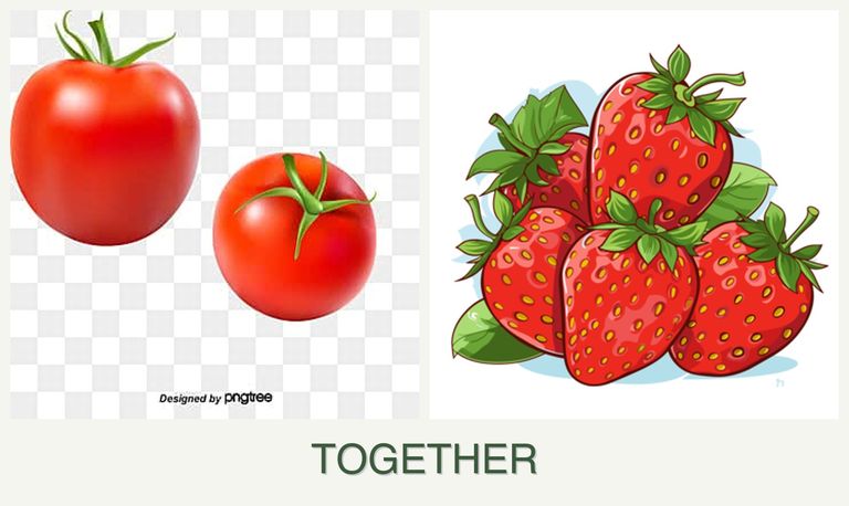 Can you plant tomatoes and strawberries together?