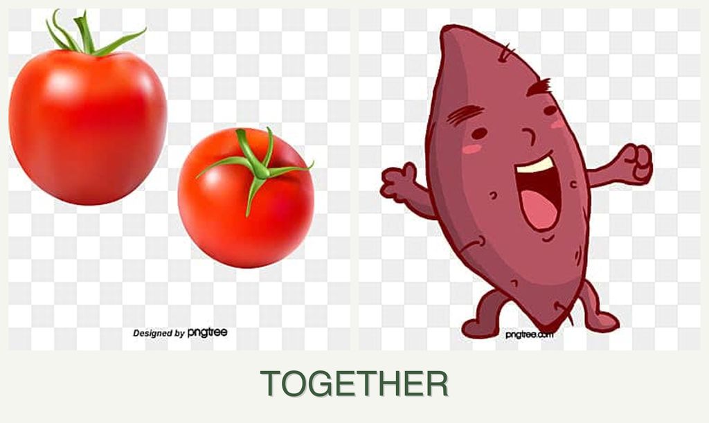 Can you plant tomatoes and sweet potatoes together?